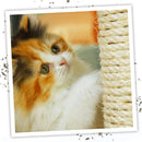 Meowijuana Catnip Spray (1 oz)