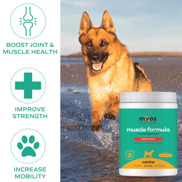 MYOS Canine Muscle & Joint Formula with Green Lipid Mussel - 396 g (120 servings)