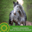 Farnam Vita Plus Balanced Multi-Vitamin & Mineral Supplement for Horses