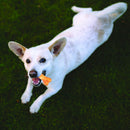 Fieldcrest Farms Nothin' to Hide Ring / Bone Chicken Treats For Dog