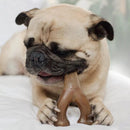 Benebone Bacon Flavor Wishbone Durable Chew Toy for Dogs-11