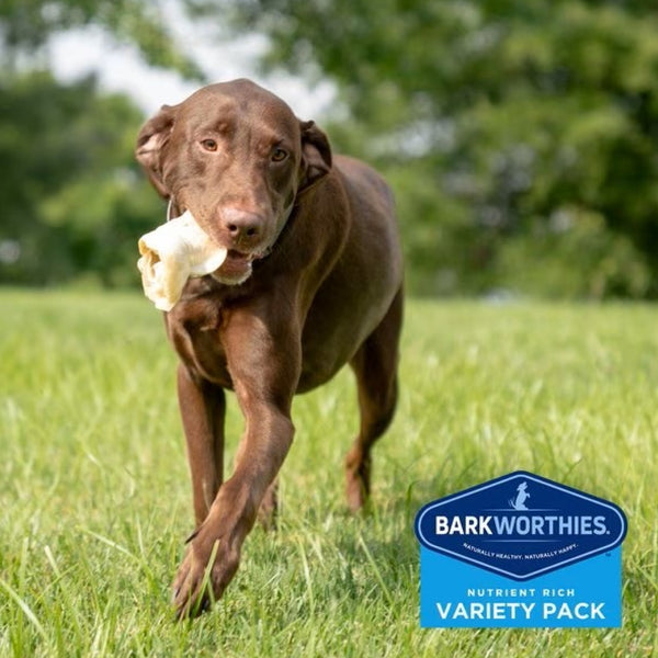 Barkworthies Large Breed Variety Pack Chews For Dog, 4 chews