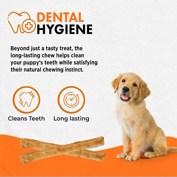 Canine Naturals Hide Free PUPPY Chicken Recipe Rolls Treats (2 Large Rolls) For Dog