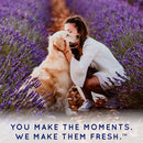 SPA by TropiClean Lavish White Coat Shampoo for Pets (16oz)