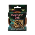 Less' Mealworm Curved Dish