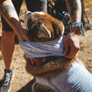 Ruffwear Swamp Cooler Cooling Neck Gaiter (Graphite Gray) For Dog