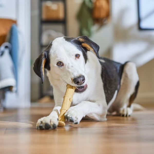 Ethical Bambone Plus Stick Chicken Toy For Dog (9.5")