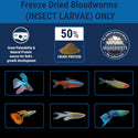 Tetra Bloodworms Freeze Dried Fish Food 1ea/0.25 oz