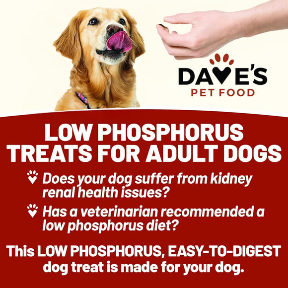 Dave's Pet Food Renal-Friendly Sweet Potato Recipe Treats For Dog  (5 oz)
