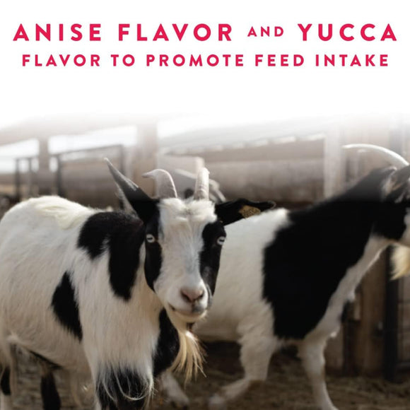 Manna Pro Goat Balancer Comprehensive Supplement (10 lb)