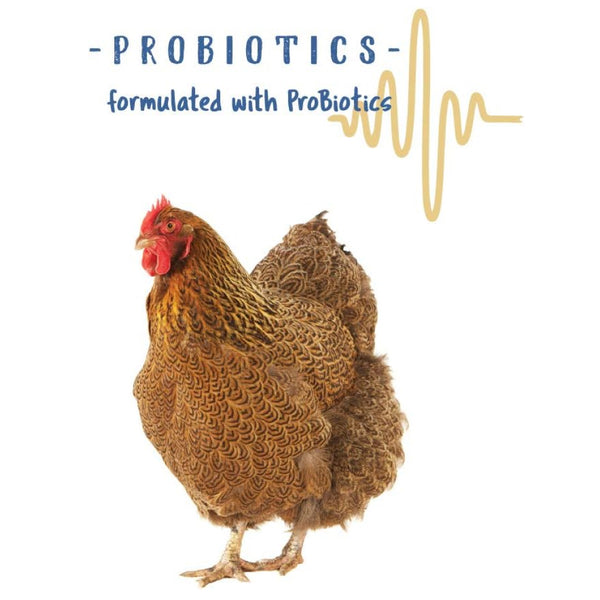 non-gmo poultry feed made with probiotics