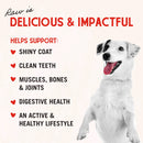 Stella & Chewy's Freeze-Dried Chicken Breast Dog Treats (2.75 oz)