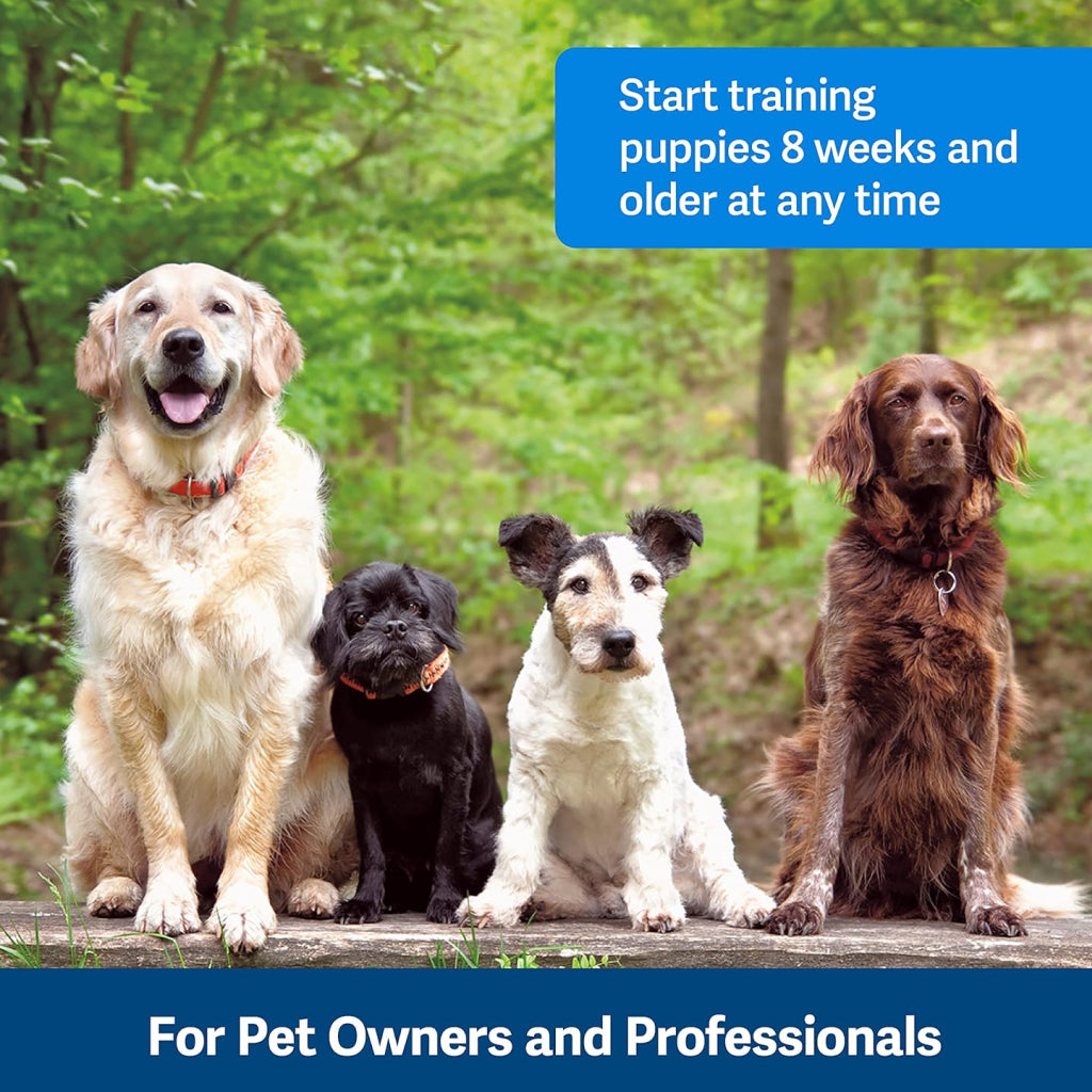 PetSafe Clik-R Training Guide Package For Dogs