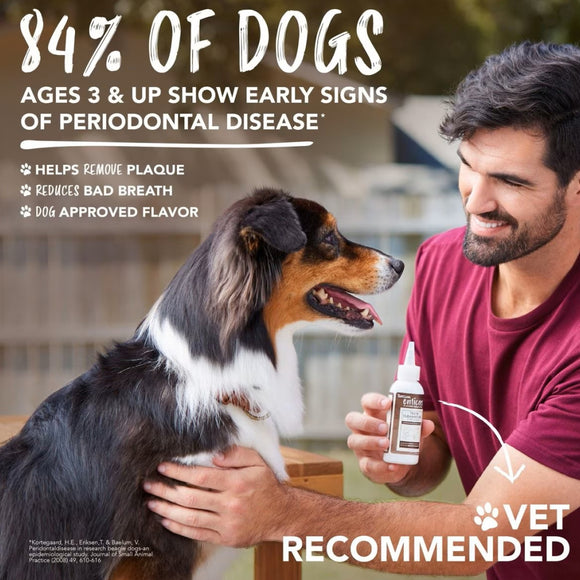 TropiClean Fresh Breath Enticers Peanut Butter & Honey Tartar Control Teeth Clean Gel For Dog (2 oz)