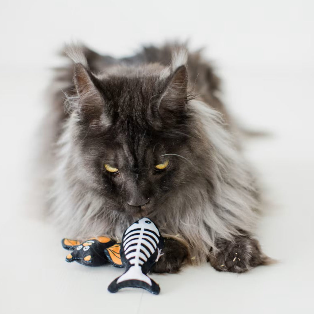 Pearhead Pawloween Toy Set For Cat