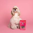 Lord Jameson Berry Best Organic Strawberry Soft & Chewy Treats For Dog (6 oz)