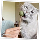 Meowijuana Lollies Silvervine Sticks with Catnip for Cats (3 ct)