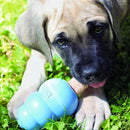KONG Ziggies Enhanced Plant-Based Treats For Puppy