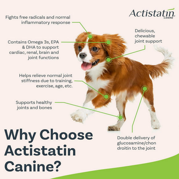 Actistatin Canine Extra-Strength Hip & Joint Small Bite Soft Chews for Small Dogs (120 ct)
