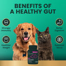 Extra Strength Gut Health Capsules for Dogs