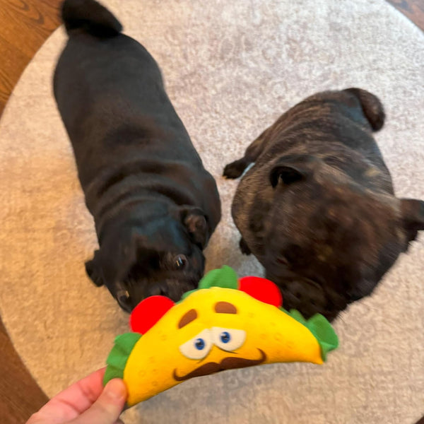 Ethical Fun Food Taco Toy For Dog (Small)