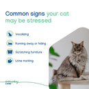 ZENIFEL Calming Pheromone Spray for Cats (2 oz)