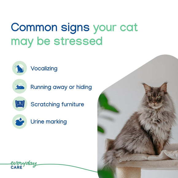 ZENIFEL Calming Pheromone Spray for Cats (2 oz)