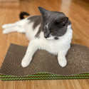 Spot Wave Scratcher For Cats 17"