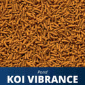 Tetra Color Enhancing Koi Vibrance Sticks