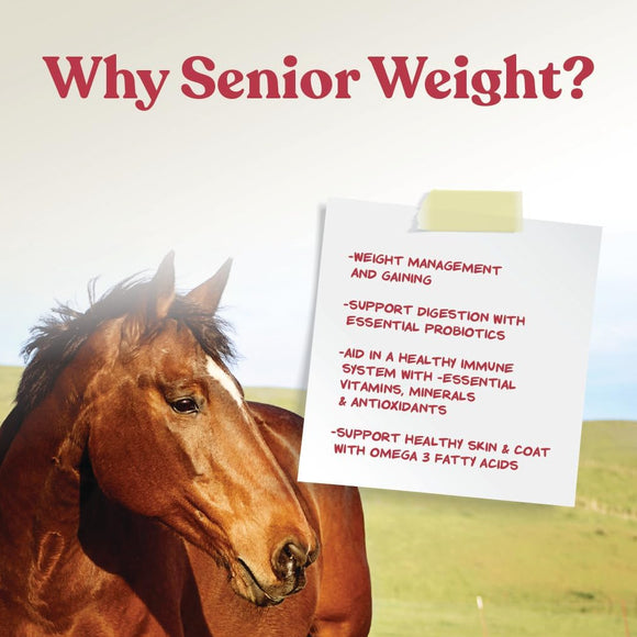 Manna Pro Senior Weight Accelerator for Horses (8 lb)