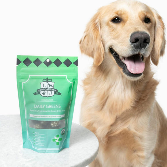 Lord Jameson Daily Greens Organic Spinach & Chia Seeds Soft & Chewy Treats For Dog