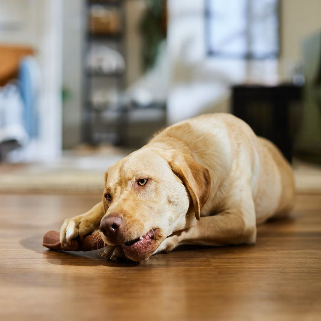 Ethical Bambone Plus Branch Beef Toy For Dog (9.5")