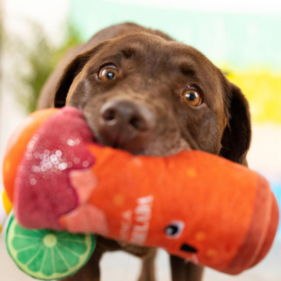 PetShop by Fringe Studio Muttchelada Plush Toy For Dog