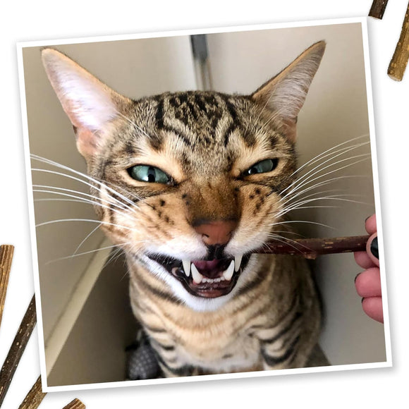 Meowijuana Silvervine Sticks for Cats