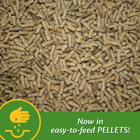 Farnam Mare Plus Gestation & Lactation Supplement