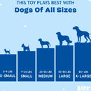 BARK Candy Cornivore Plush Toy For Dog