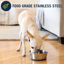 OurPets Premium Stainless Steel Rubber-Bonded Bowl For Dog