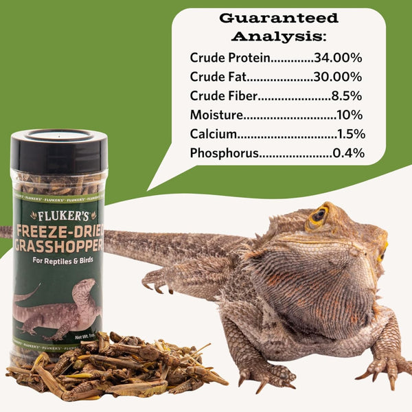 Fluker's Freeze-Dried Grasshoppers for Reptiles & Birds Treats (1 oz)