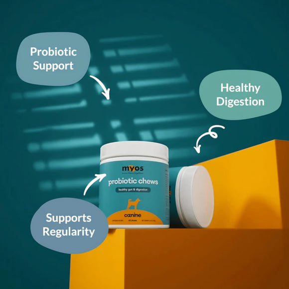 MYOS Canine Probiotic Chews - 180 g (60 chews)