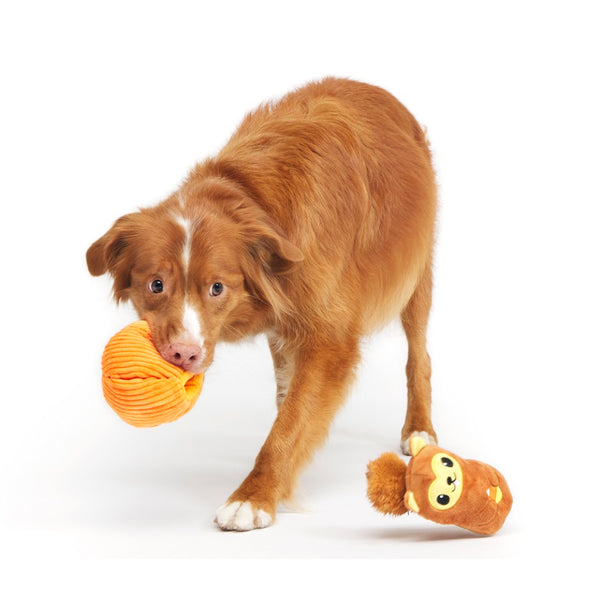 Bark Squirrel O' Lantern Plush Toy For Dog (Small)