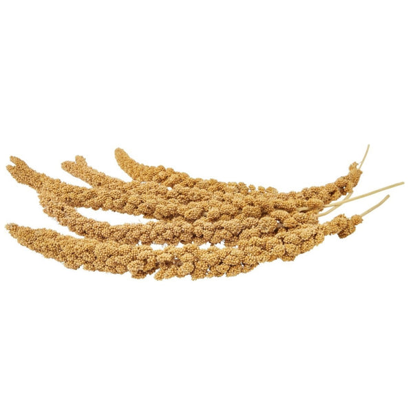 Higgins Spray Millet Treats For Birds