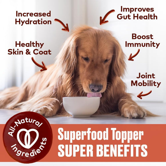 Furvor Beef Bone Broth Concentrate for Dogs