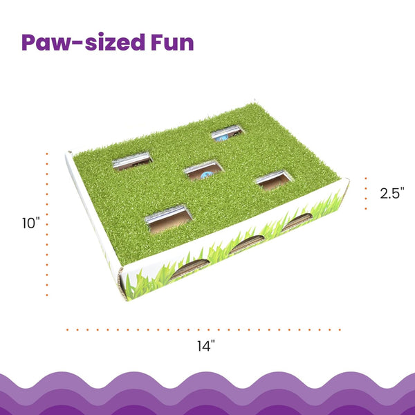 Petstages Grass Patch Hunting Box Toy For Cat