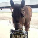 Renew Gold Bisquits Treats For Horse (2 lb)