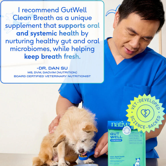 Native Pet Gutwell Clean Breath, Dental Care Supplement for Dogs (60 scoops)
