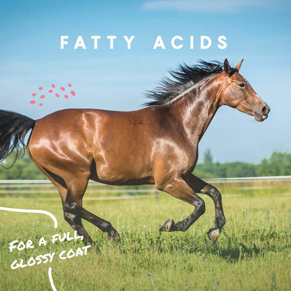 Manna Pro Cool Calories 100 Dry Fat Supplement for Horses (8 lb)