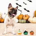 Petshop By Fringe Studio No Trick Just Treat Small Toy For Dog Set (3 pieces)