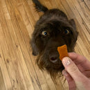 Stashios Wrap-Ups Bacon Cheeseburger Flavor Pill Wrapper for Dogs & Cats (2 oz)