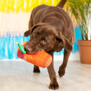 PetShop by Fringe Studio Muttchelada Plush Toy For Dog