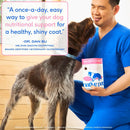 Native Pet Skin + Coat Healthy Skin Chews for Dogs